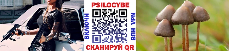 Галлюциногенные грибы Magic Shrooms  Вытегра 